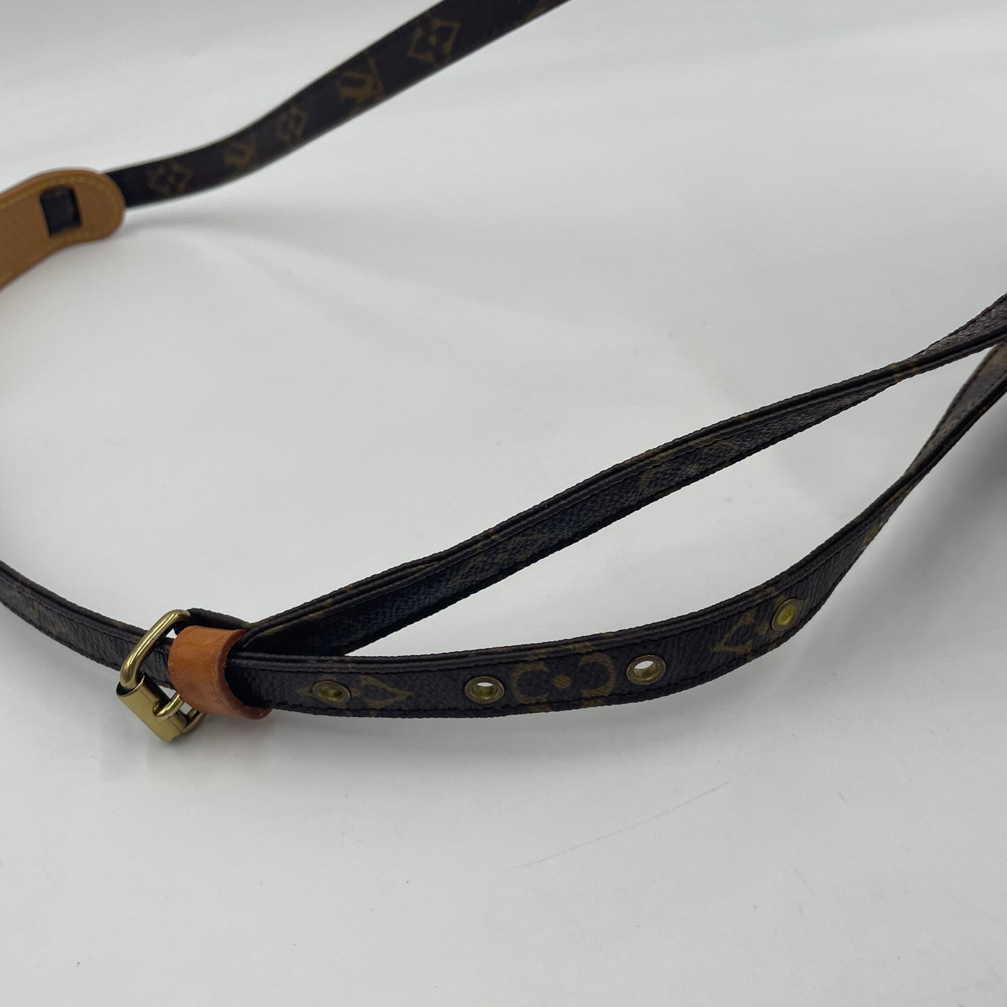 Louis Vuitton Amazone Monogram Crossbody Bag