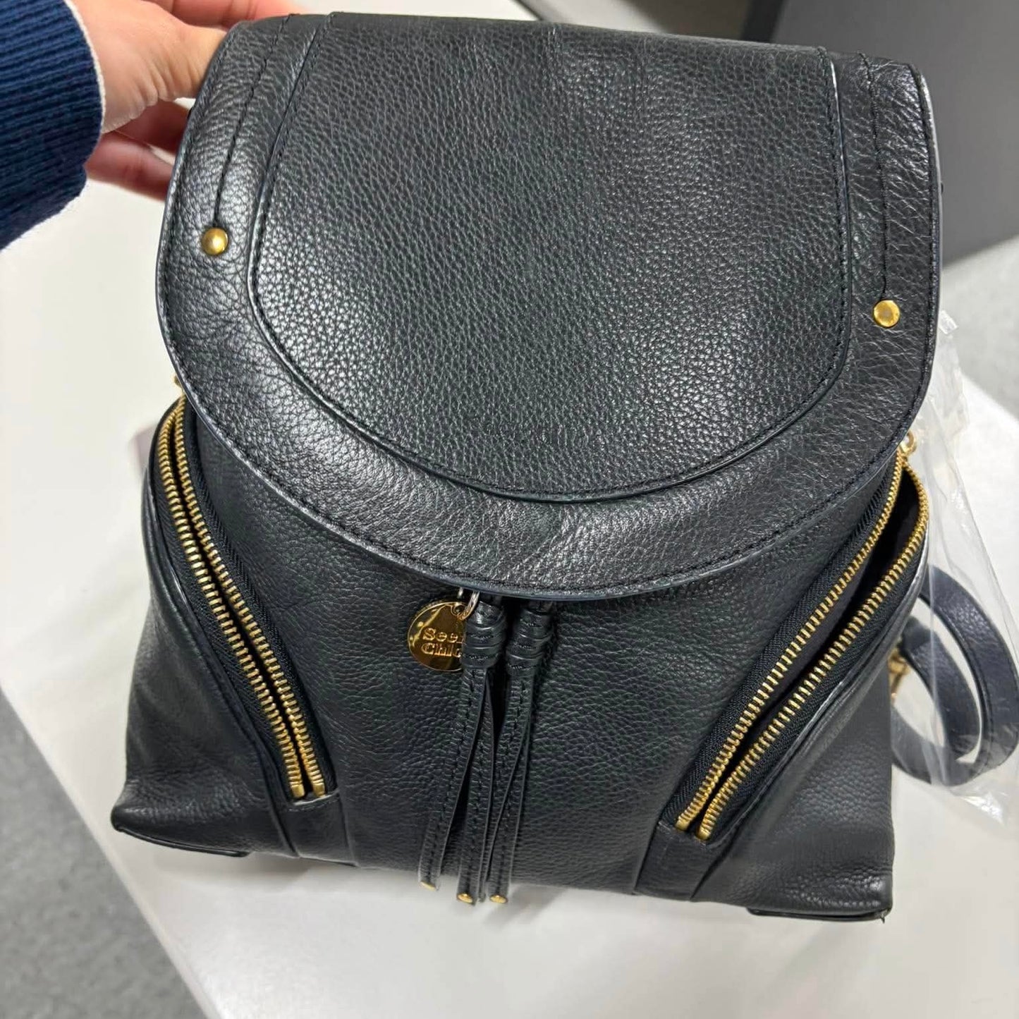 Chloe 2waybag